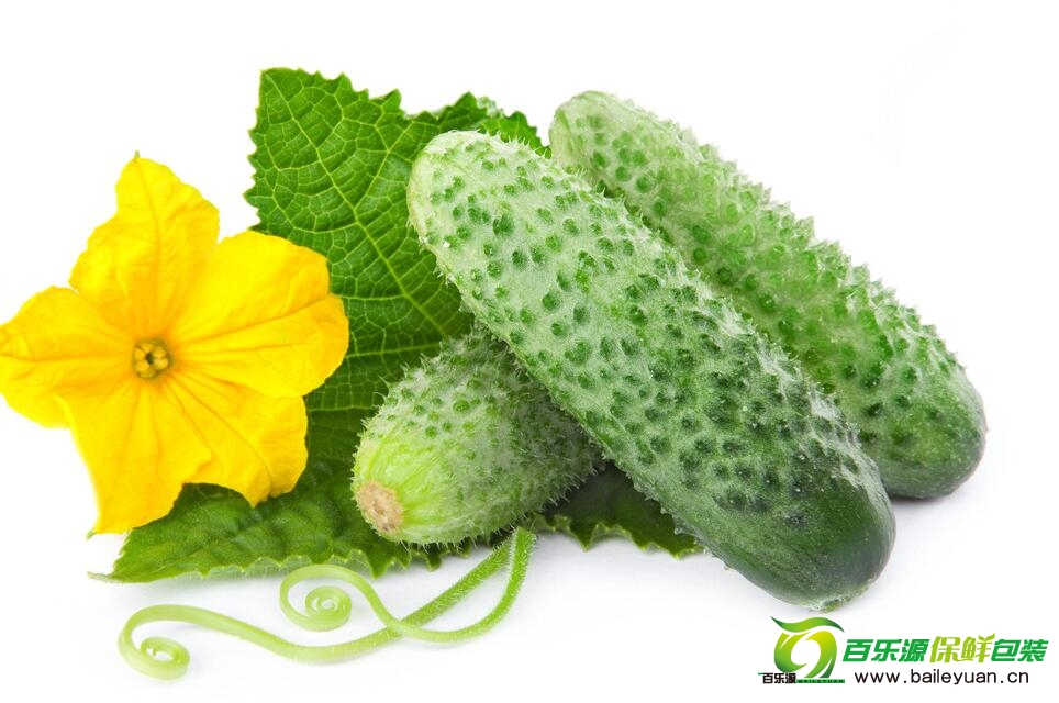 如何辨別有毒黃瓜?