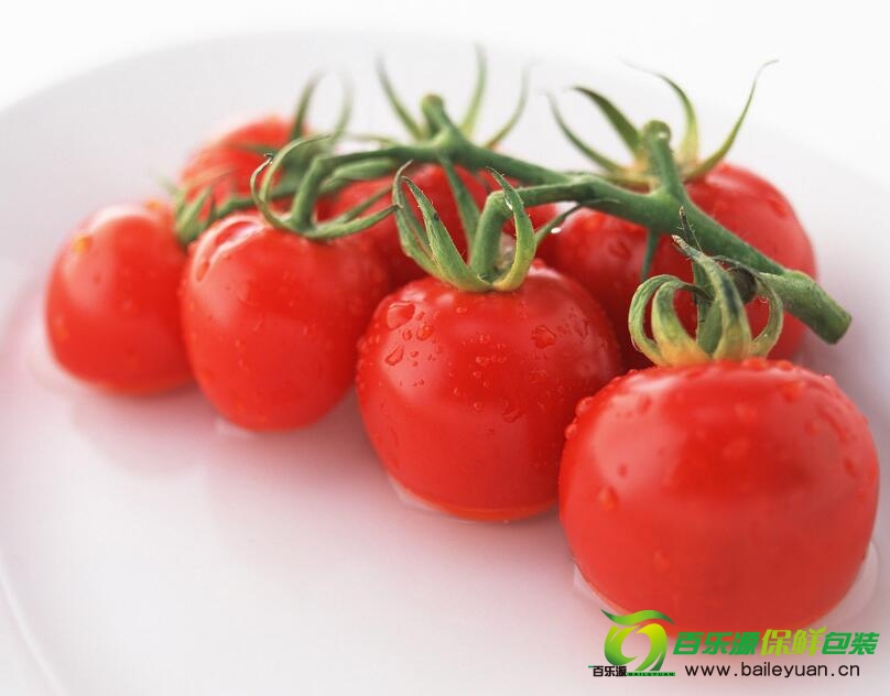 西紅柿怎么保鮮?