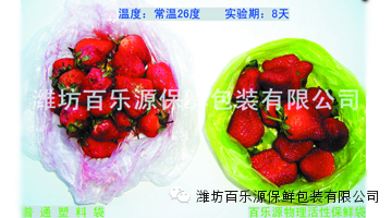 濰坊百樂(lè)源保鮮包裝有限公司保鮮袋蔬菜水果保鮮袋銷(xiāo)售